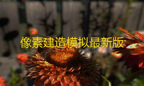 挂+锁头+透视+锁血像素建造模拟最新版